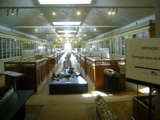 Geological Museum of Portugal